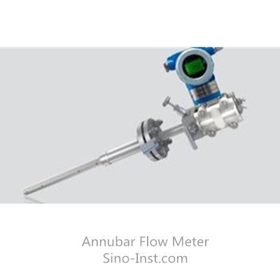 Annubar flow meter with DP transmitter