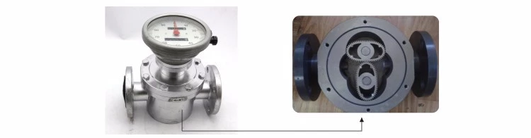 SI-3601 Positive Displacement Oval Gear Fuel Flow Meter Structure
