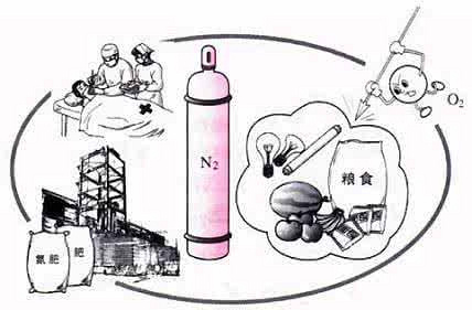 Common Industrial Uses for Nitrogen Gas