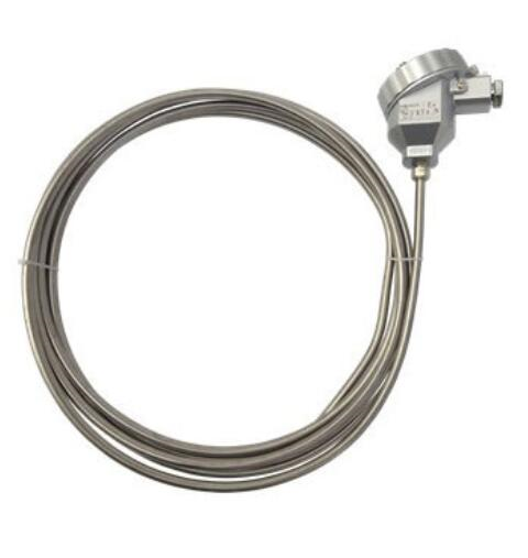 Sheathed Thermocouple：No fixed device(ExdIIBT explosion-proof)