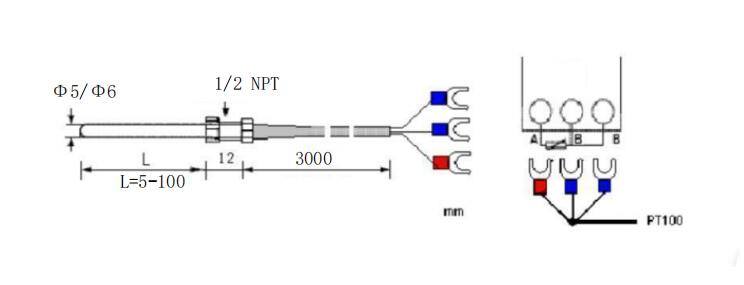 RTD PT100 - 3 Wire - Support Customization