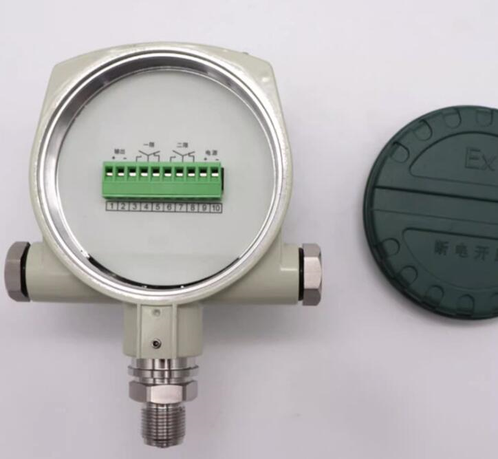 Explosion Proof Pressure Switch 4