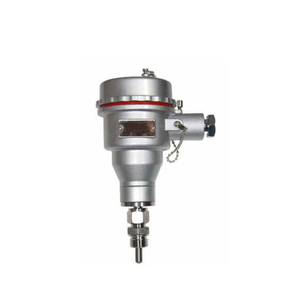 GF90 Explosion Proof Flow Switch