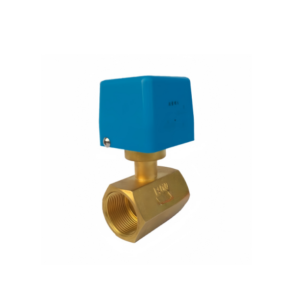 SI-01D Mechanical Flow Switch - Customizable High Temperature and High Pressure