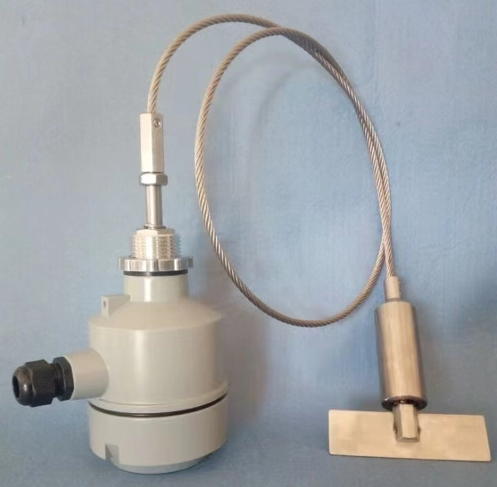 Rotary paddle level switch